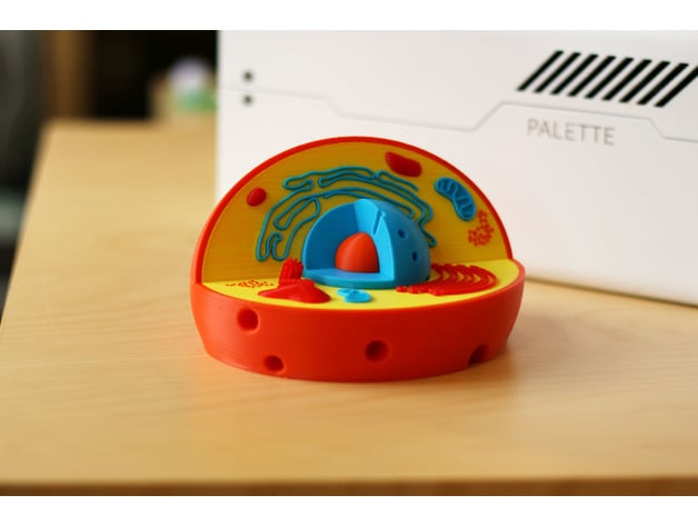 Animal Cell Model: 3D Printed Biological Structure for Hands-On Science Learning